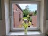 Photo 11 de 30 – Maison à Frameries