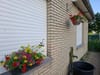 Photo 5 de 14 – Maison à Waremme