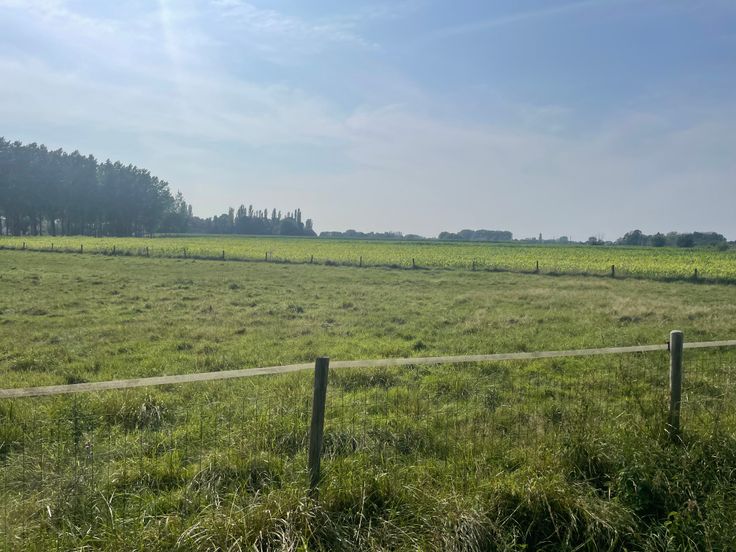 Building land for sale in Haacht €239,000 Immoweb