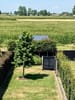 Photo 24 de 26 – Maison à BEVEREN-KRUIBEKE-ZWIJNDRECHT
