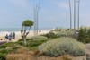 Photo 18 de 20 – Appartement à Westende