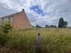 Photo 6 de 10 – Maison à Haaltert