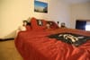 Photo 19 de 24 – Appartement à Antwerpen