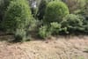 Photo 6 de 37 – Maison à Roux