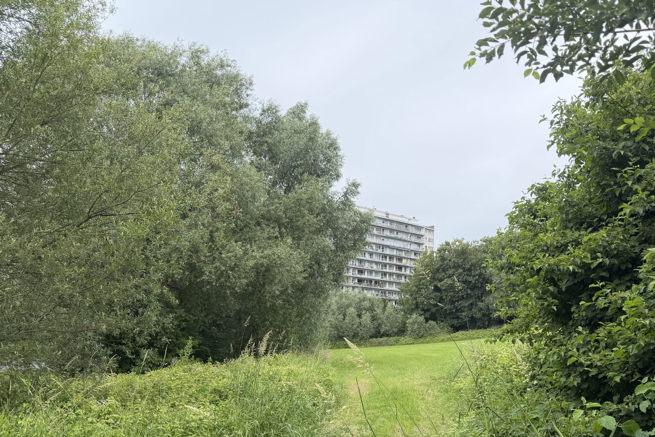 Breughelpark 17