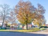 Photo 25 de 26 – Maison à Oud-Turnhout