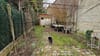 Photo 12 de 24 – Maison à QUIÉVRAIN