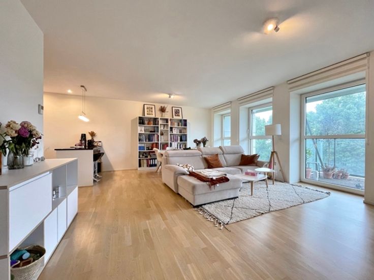 Apartment for rent with 2 rooms in WoluweStLambert Immoweb