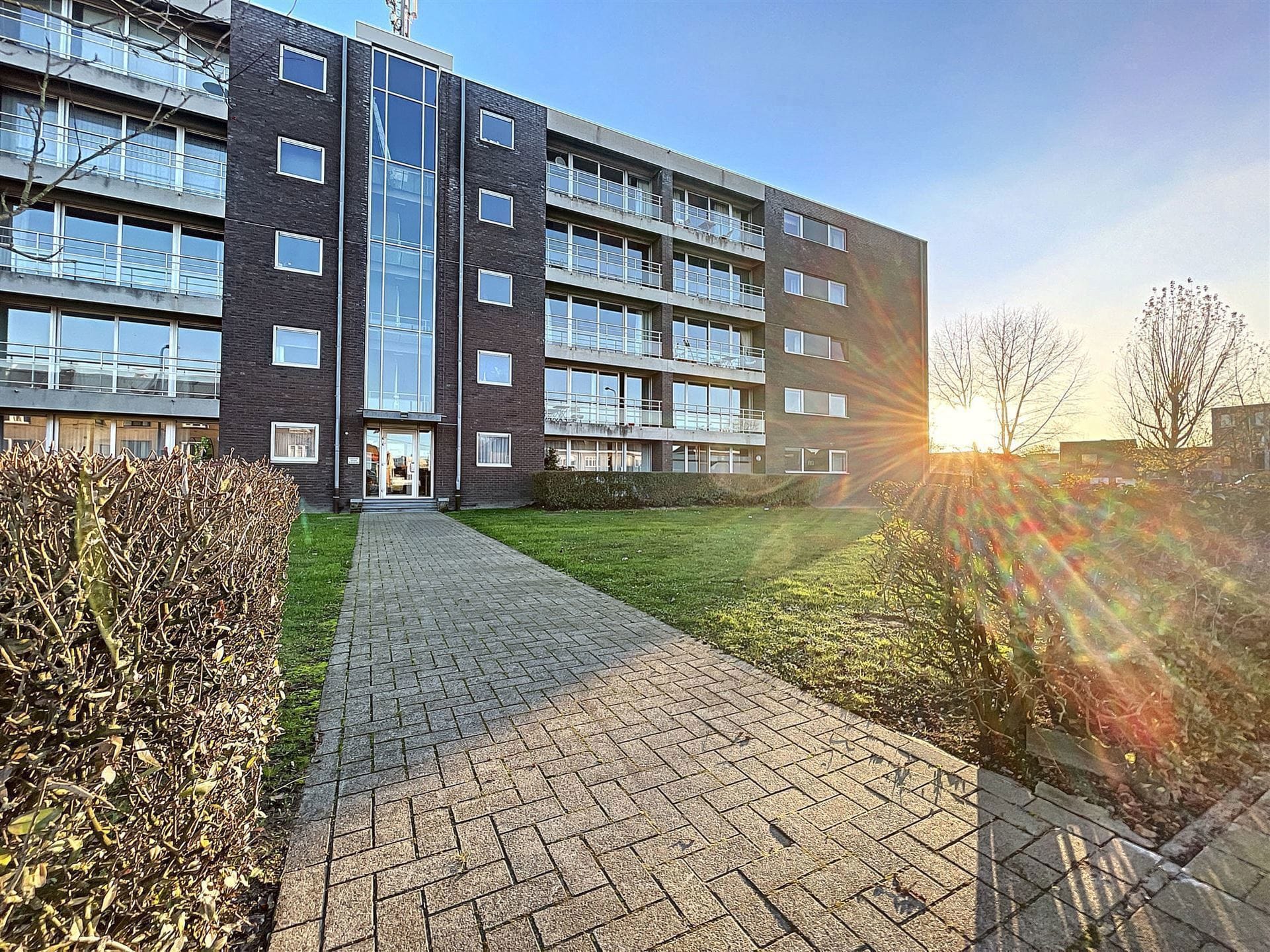 Drongensesteenweg 241