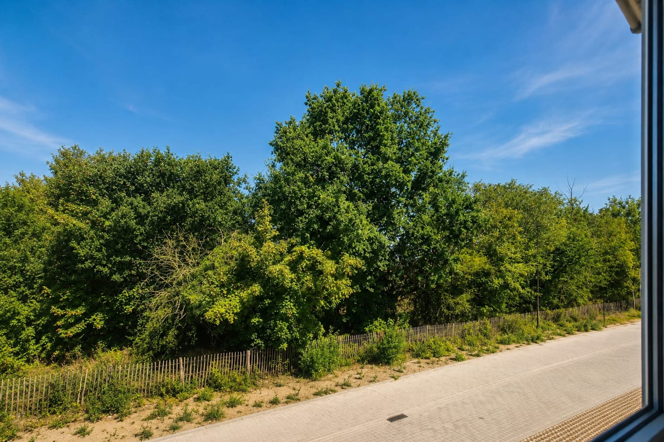 Nieuwe-Hazegrasdijk 6