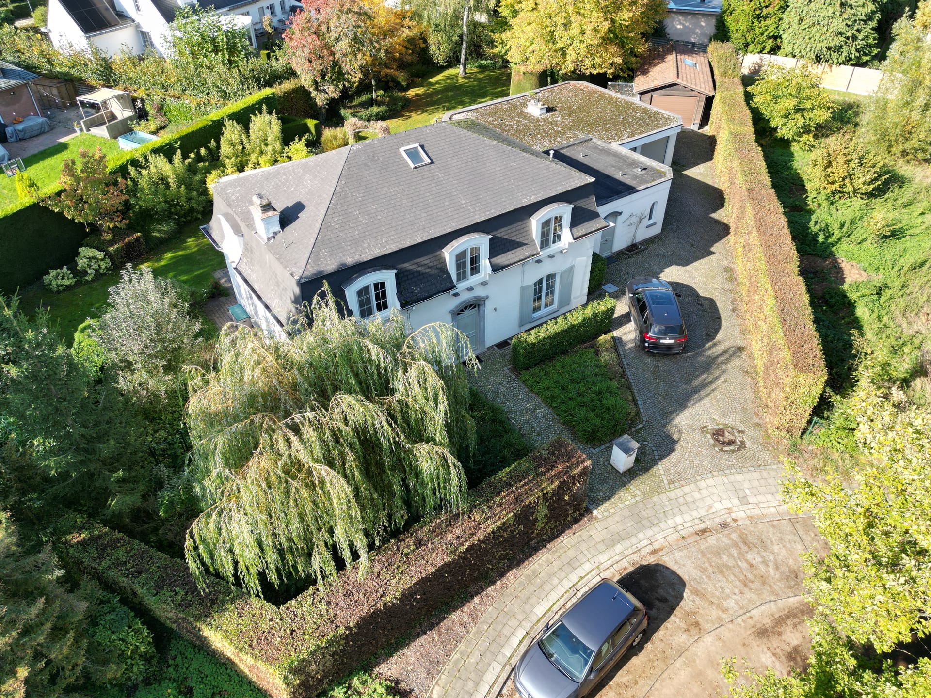 Zevenbergen 80