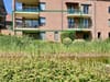 Photo 4 de 17 – Appartement à Waterloo