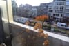 Photo 4 de 19 – Appartement à Mortsel