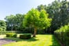 Photo 25 de 26 – Maison à Brasschaat