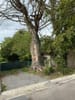 Photo 23 de 29 – Maison à Fossesla-Ville