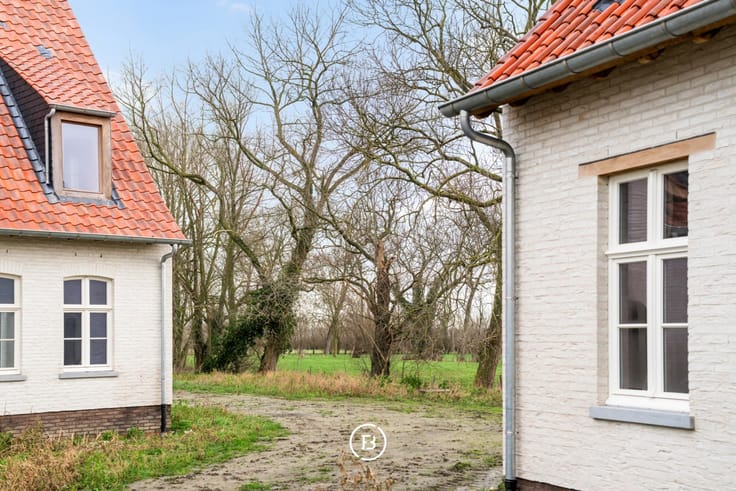 Foto 2 Lapscheurestraat 4