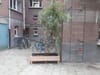 Photo 18 de 20 – Appartement à Antwerpen