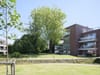 Photo 3 de 30 – Appartement à Ronse