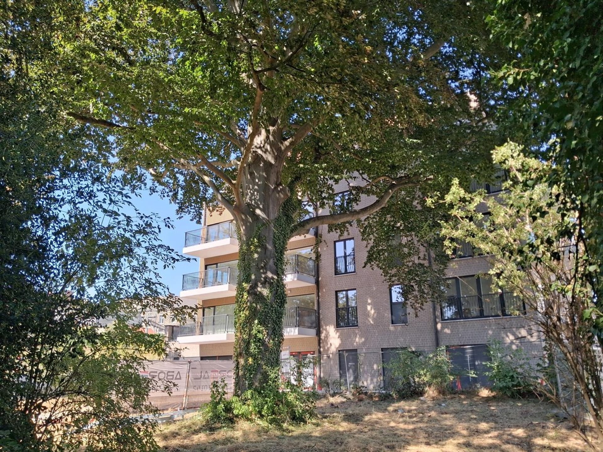 Rue de la Dodane 8