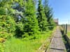 Photo 6 de 26 – Maison à Frasnes-lez-Anvaing Dergneau