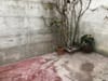 Photo 4 de 8 – Appartement à Bruxelles