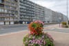 Photo 21 de 25 – Appartement à Westende