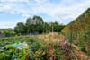 Photo 6 de 19 – Maison à Jemeppe (-sur-Meuse)
