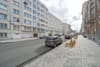 Photo 19 de 19 – Appartement à Schaerbeek