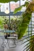 Photo 6 de 21 – Maison à Antwerpen Borgerhout