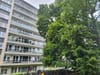 Photo 6 de 6 – Appartement à Mechelen