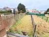 Photo 13 de 19 – Appartement à HAINE-SAINT-PIERRE