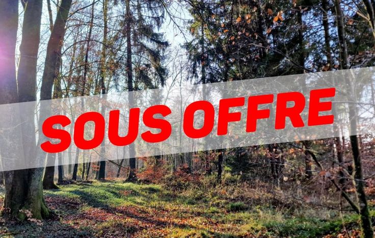 Terrain non bâtissable à vendre à Attert - 13 000 € - Immoweb