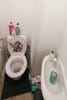 Photo 14 de 15 – Appartement à CHARLEROI
