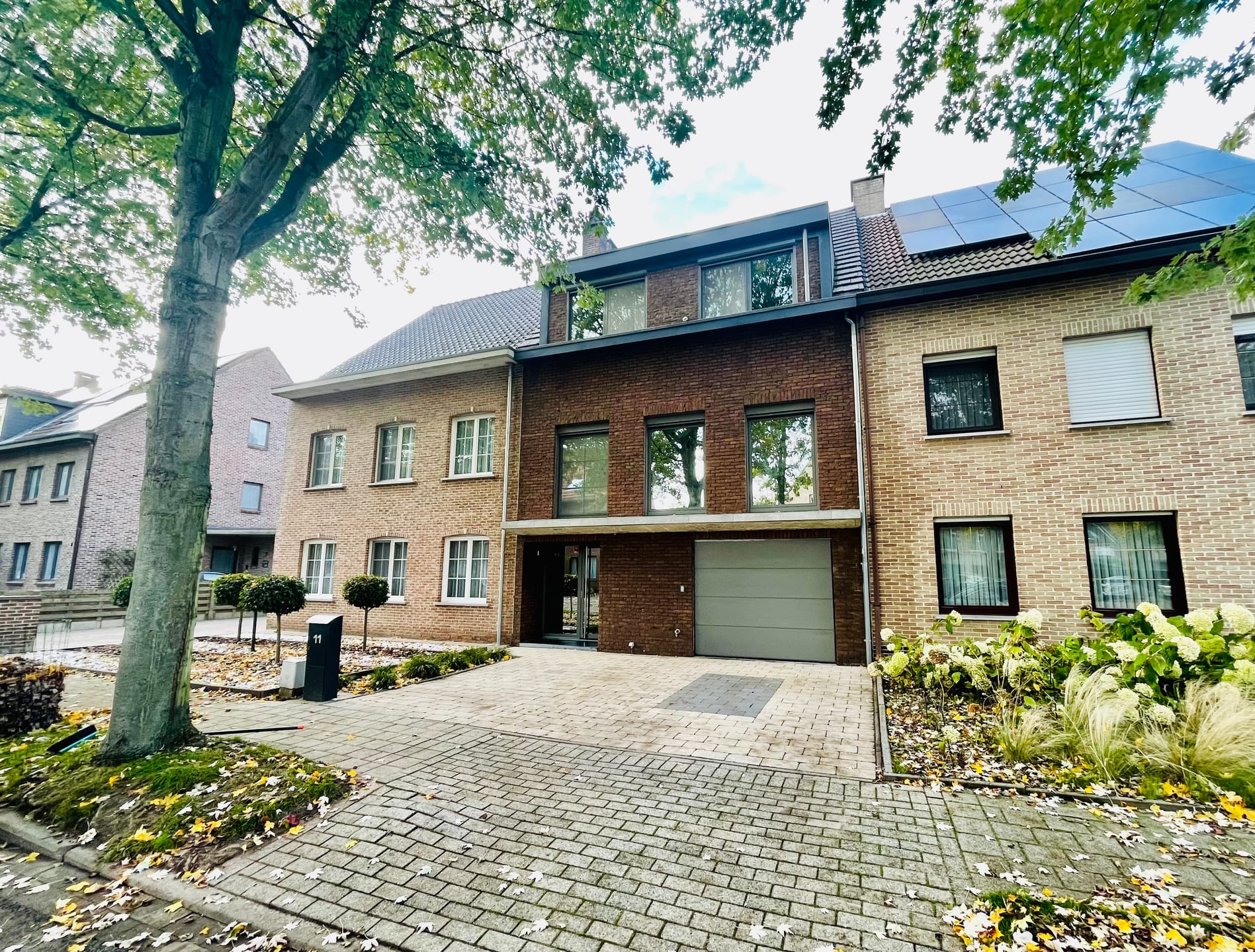 David Teniersstraat 11