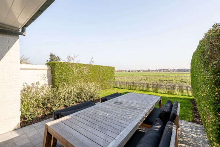 Foto 3 Kragenheule 2