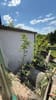 Photo 12 de 13 – Maison à Forchies-la-Marche