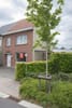 Photo 3 de 26 – Maison à Torhout