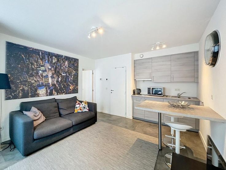 Apartment for rent in Brussels €900/month 1 bedroom Immoweb