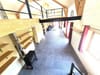 Photo 4 de 28 – Maison à Couvin