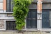 Photo 4 de 30 – Maison à Berchem