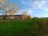 Photo 19 de 19 – Maison à Gerpinnes