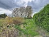 Photo 17 de 17 – Maison à JEMEPPE-SUR-SAMBRE