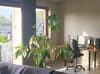 Photo 3 de 10 – Appartement à Dendermonde