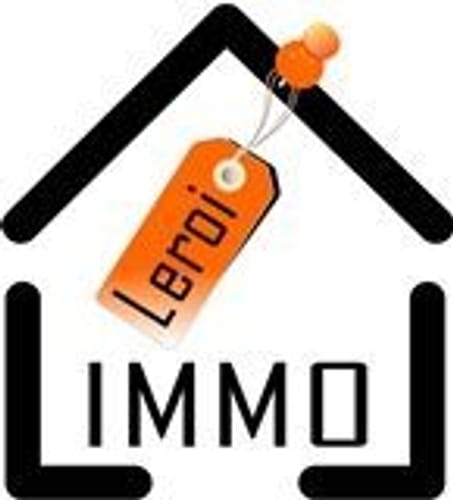 Leroi-immo