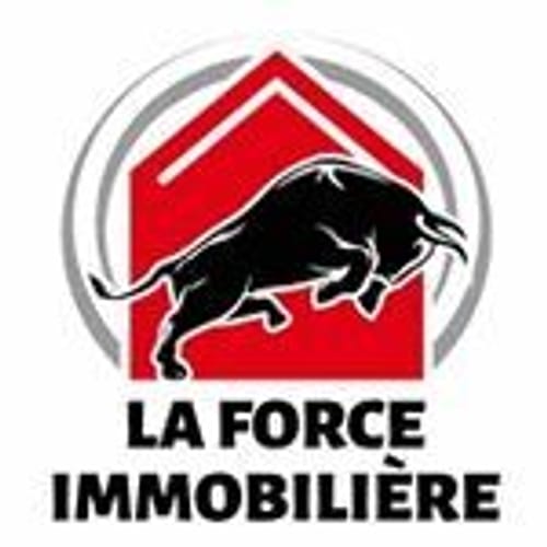 LA FORCE IMMOBILIERE