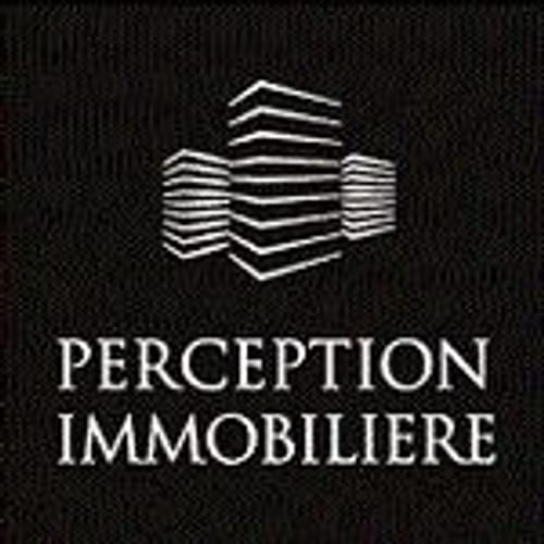 Perception Immobilière