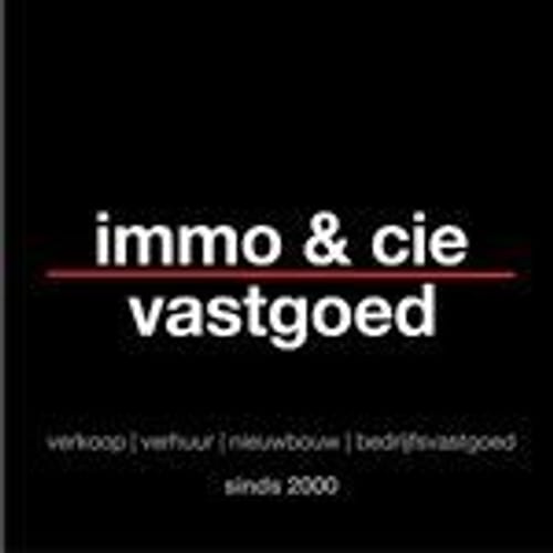 immo & cie