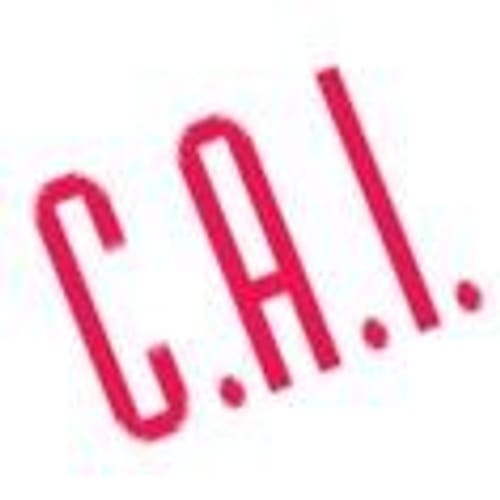 C.A.I.sprl
