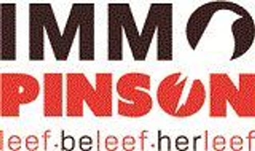 Immo Pinson