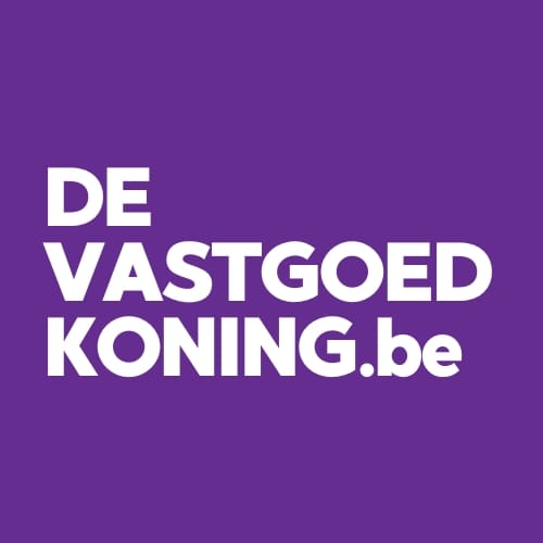 deVastgoedkoning.be